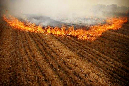 熊良虎赴京考察德国迪芬巴赫公司、ESATPOINT GLOBAL公司生态环保板材设备工艺 熊良虎赴京考察德国迪芬巴赫公司、ESATPOINT GLOBAL公司生态环保板材设备工艺