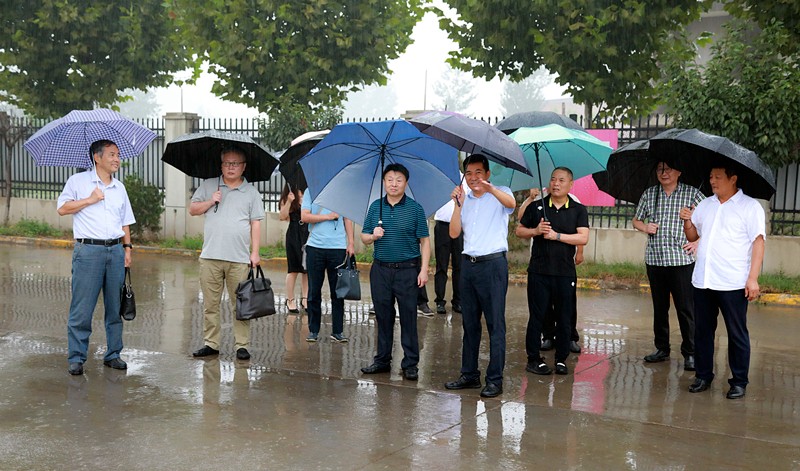 熊良虎赴东方纸业集团考察调研 熊良虎赴东方纸业集团考察调研