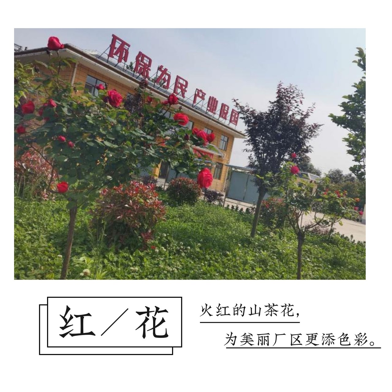 “绿满厂区春意浓”摄影作品征集活动部分作品展示(一) “绿满厂区春意浓”摄影作品征集活动部分作品展示(一)