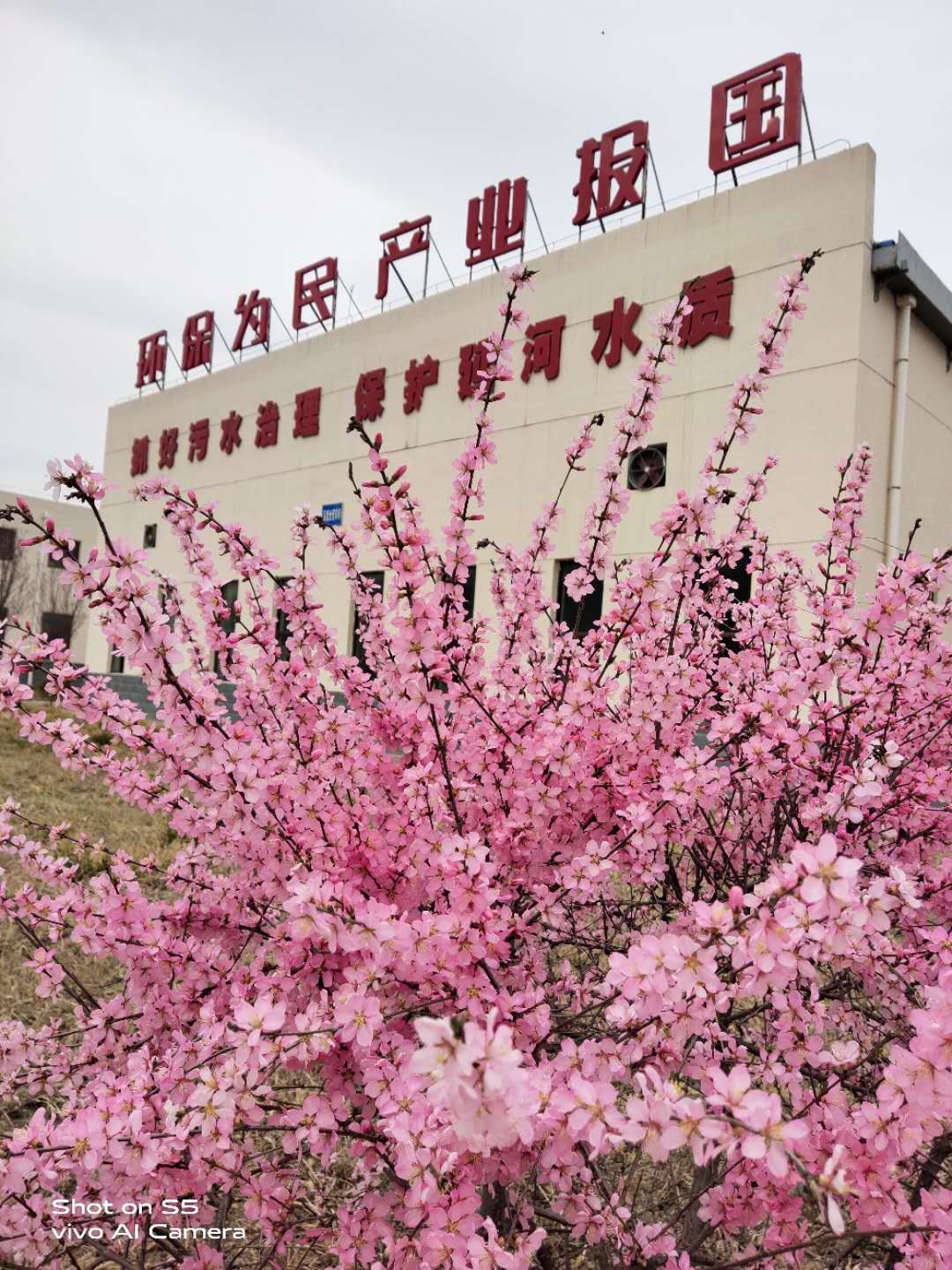 “绿满厂区春意浓”摄影作品征集活动部分作品展示(二) “绿满厂区春意浓”摄影作品征集活动部分作品展示(二)