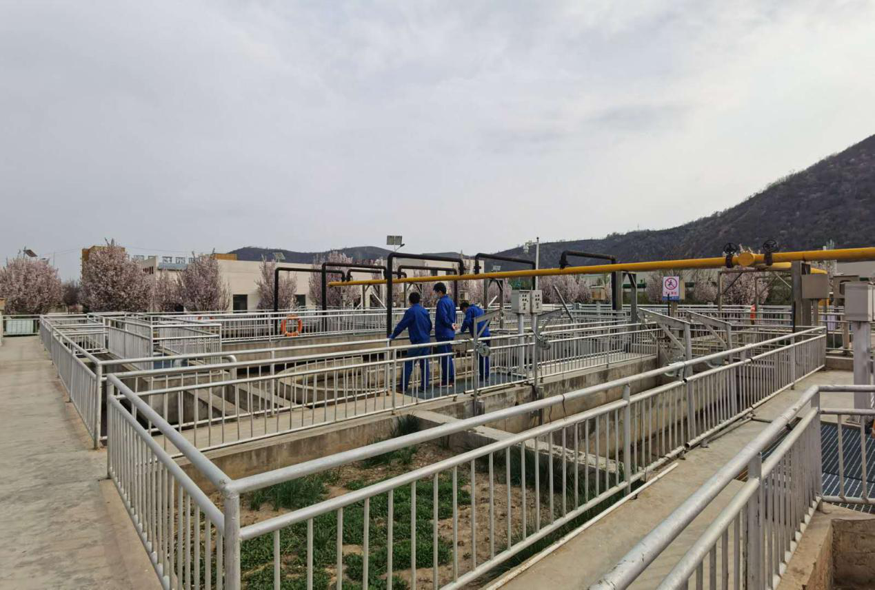 “绿满厂区春意浓”摄影作品征集活动部分作品展示(二) “绿满厂区春意浓”摄影作品征集活动部分作品展示(二)