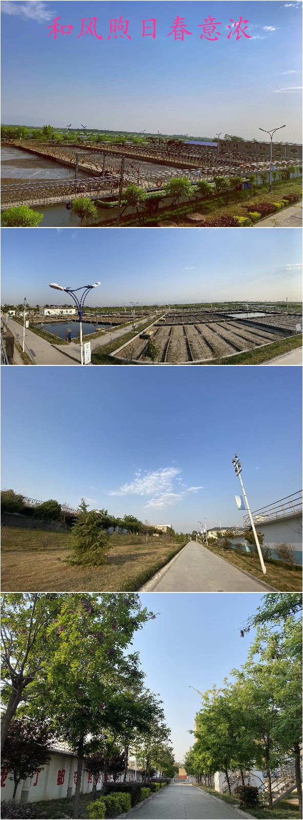 “绿满厂区春意浓”摄影作品征集活动部分作品展示(二) “绿满厂区春意浓”摄影作品征集活动部分作品展示(二)