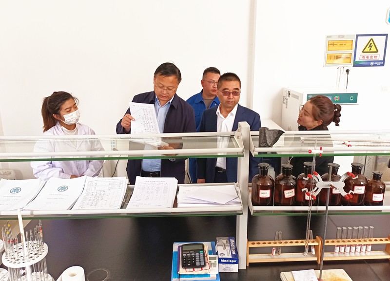 集团公司领导调研水环境公司陕南片区项目 集团公司领导调研水环境公司陕南片区项目