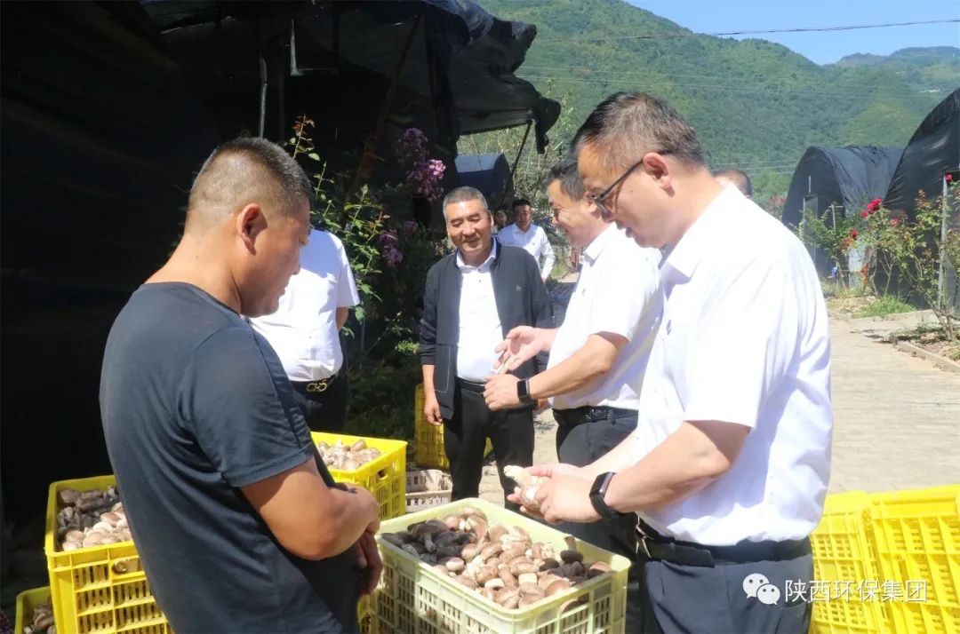 郝军亮到太白县调研乡村振兴驻村帮扶工作 郝军亮到太白县调研乡村振兴驻村帮扶工作